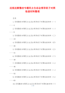 巡视巡察整改专题民主生活会领导班子对照检查材料整理
