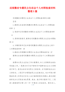巡视整改专题民主生活会个人对照检查材料整理5篇