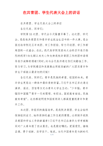 在共青团、学生代表大会上的讲话