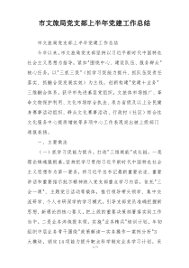 市文旅局党支部上半年党建工作总结