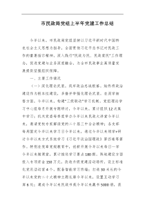 市民政局党组上半年党建工作总结