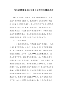 市生态环境局2025年上半年工作情况总结