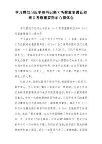 学习贯彻习近平总书记来X考察重要讲话和来X考察重要指示心得体会
