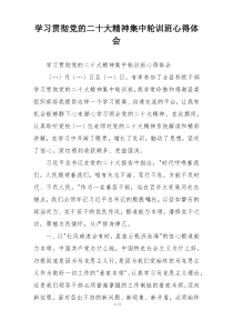 学习贯彻党的二十大精神集中轮训班心得体会