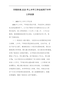 市税务局2025年上半年工作总结和下半年工作安排