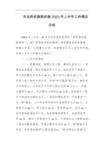 市自然资源局党委2025年上半年工作情况总结
