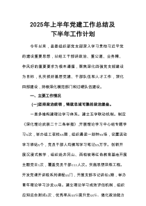开展2025年上半年党建工作总结及下一步工作打算