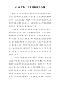 市XX支队二十大精神学习心得