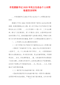 市党委副书记2025年民主生活会个人对照检查发言材料
