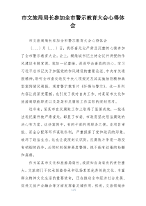 市文旅局局长参加全市警示教育大会心得体会