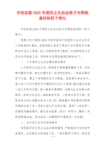 市发改委2025年度民主生活会班子对照检查材料四个带头