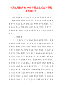 市发改局副局长2025年民主生活会对照检查发言材料