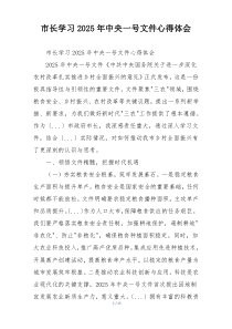 市长学习2025年中央一号文件心得体会