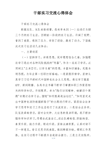 干部实习交流心得体会