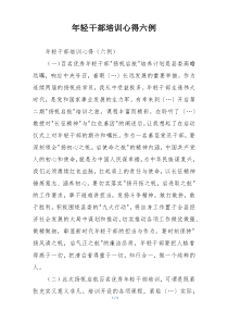 年轻干部培训心得六例