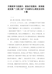 开展抓学习促提升、抓执行促落实、抓效能促发展“三抓三促”行动研讨心得发言材料5篇