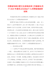 市委宣传部分管文化体制改革工作副部长关于2025年度民主生活会个人对照检视剖析材料