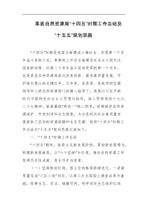 某县自然资源局十四五时期工作总结及十五五规划思路