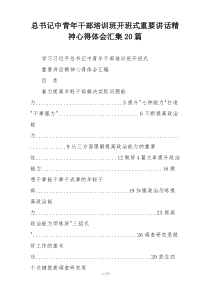 总书记中青年干部培训班开班式重要讲话精神心得体会汇集20篇