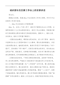 组织部长在区委工作会上的安排讲话