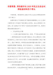 市委常委、常务副市长2025年民主生活会对照检查材料四个带头