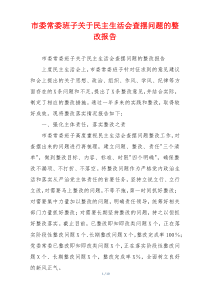 市委常委班子关于民主生活会查摆问题的整改报告