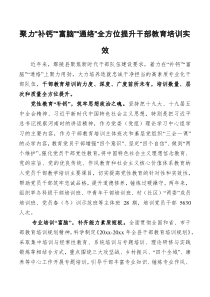 聚力补钙富脑通络全方位提升干部教育培训实效