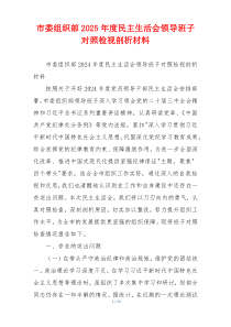 市委组织部2025年度民主生活会领导班子对照检视剖析材料