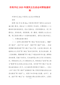 市局书记2025年度民主生活会对照检查材料