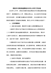 派驻市XX局纪检监察组2025年上半年工作总结 6篇精选