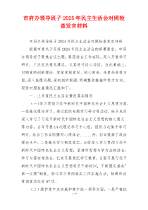 市府办领导班子2025年民主生活会对照检查发言材料