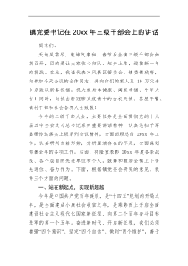 讲话发言乡镇镇党委书记在20XX年三级干部会上的讲话