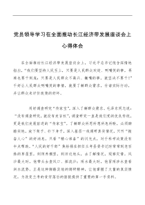 讲话发言党员领导学习在全面推动长江经济带发展座谈会上心得体会