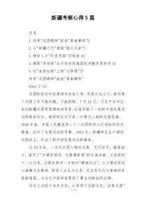 新疆考察心得5篇