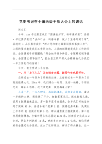 讲话发言党委书记在全镇两级干部大会上的讲话