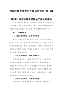违规吃喝专项整治工作总结报告(精选15篇样例)