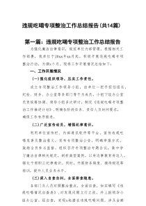 违规吃喝专项整治工作总结报告（共14篇）参考材料