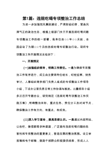 违规吃喝专项整治工作总结（共12篇）汇编供参考