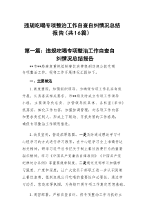 违规吃喝专项整治工作自查自纠情况总结报告精选(16篇)样例