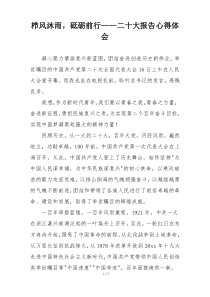 栉风沐雨，砥砺前行——二十大报告心得体会