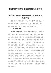 违规吃喝专项整治工作落实情况总结汇报(精选13篇范本)