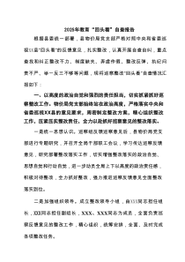 2025年教育“回头看”自查报告(精选6篇汇编)