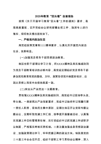 2025年教育“回头看”自查报告(通用精选3篇)