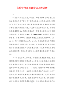 在政协市委员会会议上的讲话
