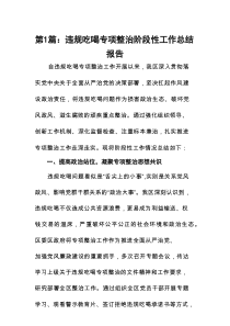 违规吃喝专项整治阶段性工作总结报告12篇（精选）