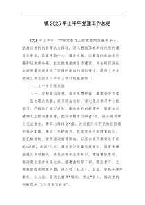 镇2025年上半年党建工作总结