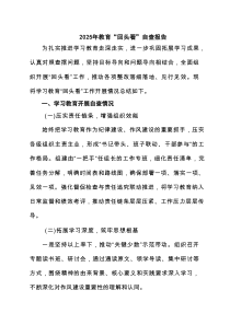 2025年教育“回头看”自查报告（6篇精选）