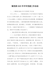 镇党委2025年半年党建工作总结