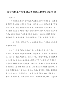 讲话发言在全市化工产业整治工作动员部署会议上的讲话