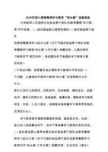 2025年深入学习教育“回头看”自查报告 6篇（精选版）